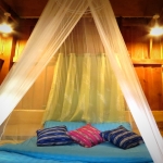 2 Day Luxury Treehouse Good View, Large Waterfall walk with elephants, Bamboo Rafting