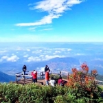 Private Kew Mae Pan Trail Doi Inthanon and Ethical Elephant Sanctuary, Luxury Treetop Dining 